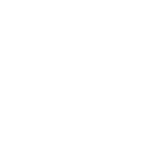 Duschenschneiderei_Services_Icon_Beratung