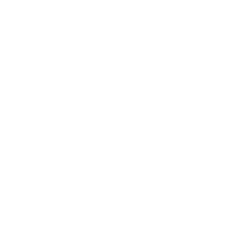Duschenschneiderei_Services_Icon_Lieferung